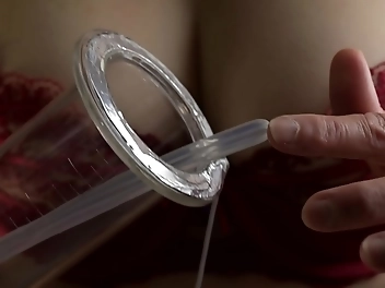 Intense Sperm Collection With High-Tech Milking Machine